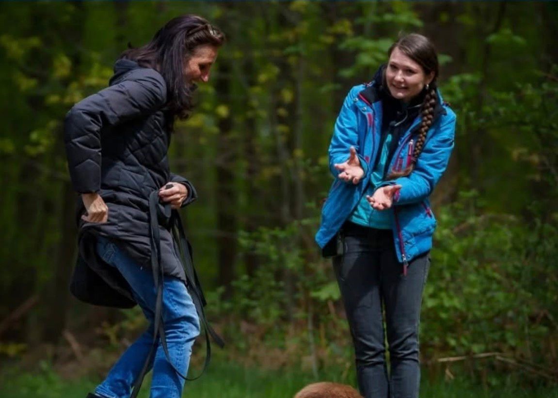 Einzeltraining mit Hund