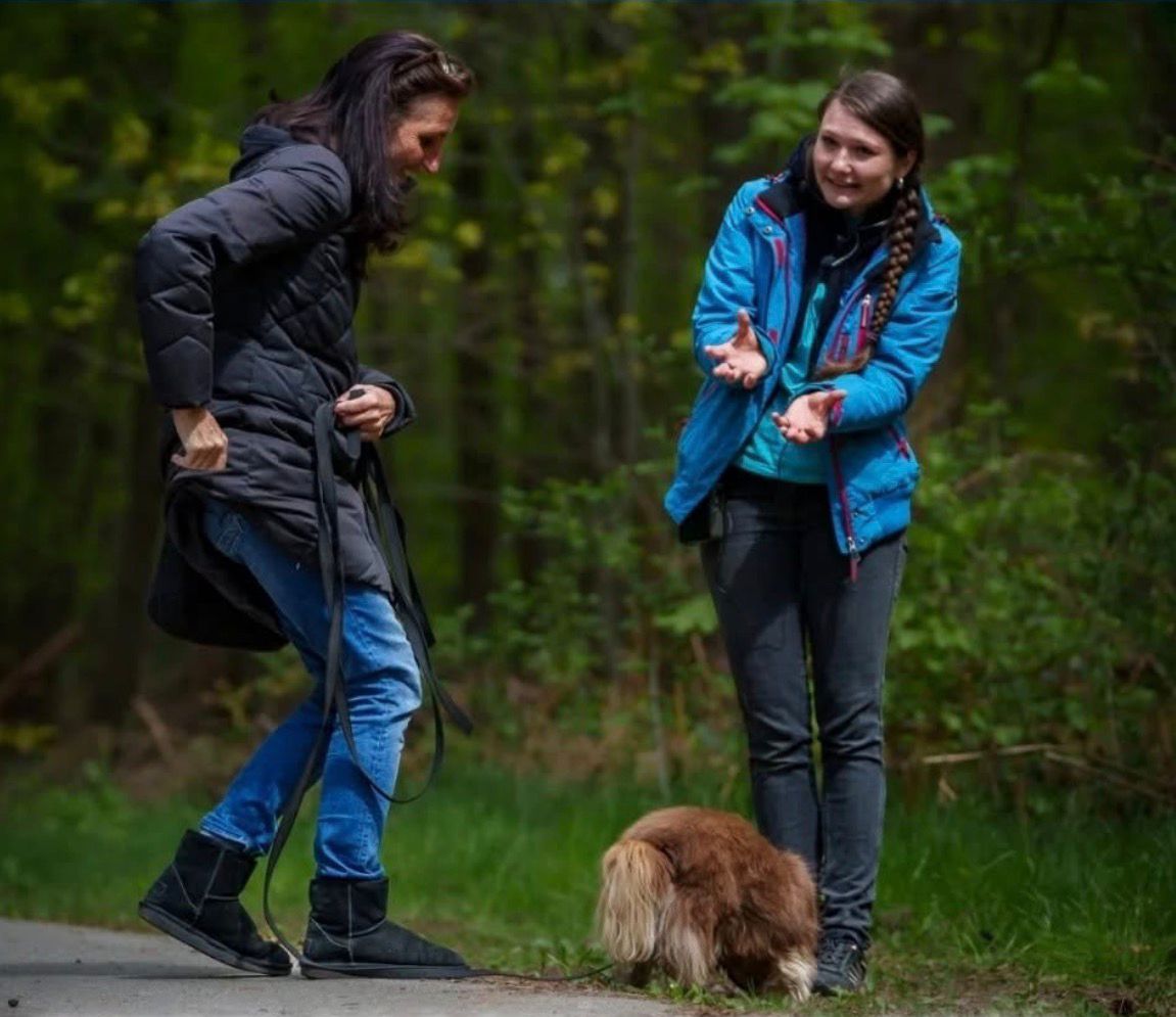 Hundetraining im Alltag mit Mensch und Hund