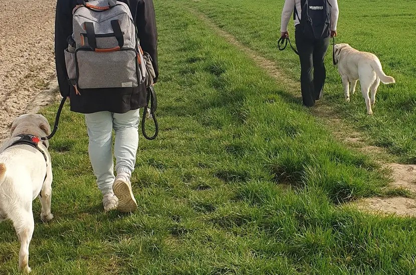 Spaziergang mit Hund an der Leine