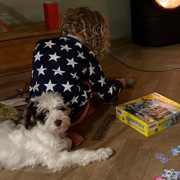 esp-dog Mitten im Leben.