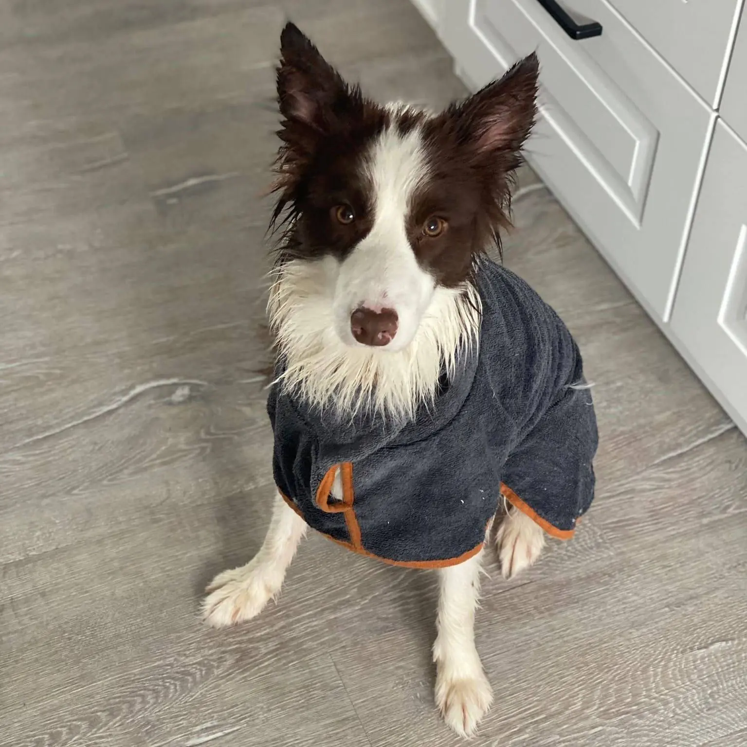 Diego im Bademantel.