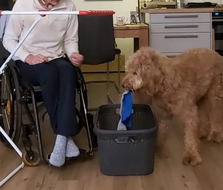 Eddi hilft beim Wäscheaufhängen