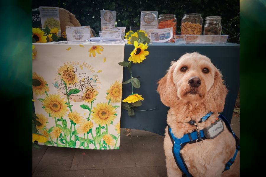 Infostand mit Assistenzhund Mina – Nahaufnahme