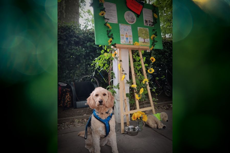 Assistenzhund Mina vor Infowand mit Plakat