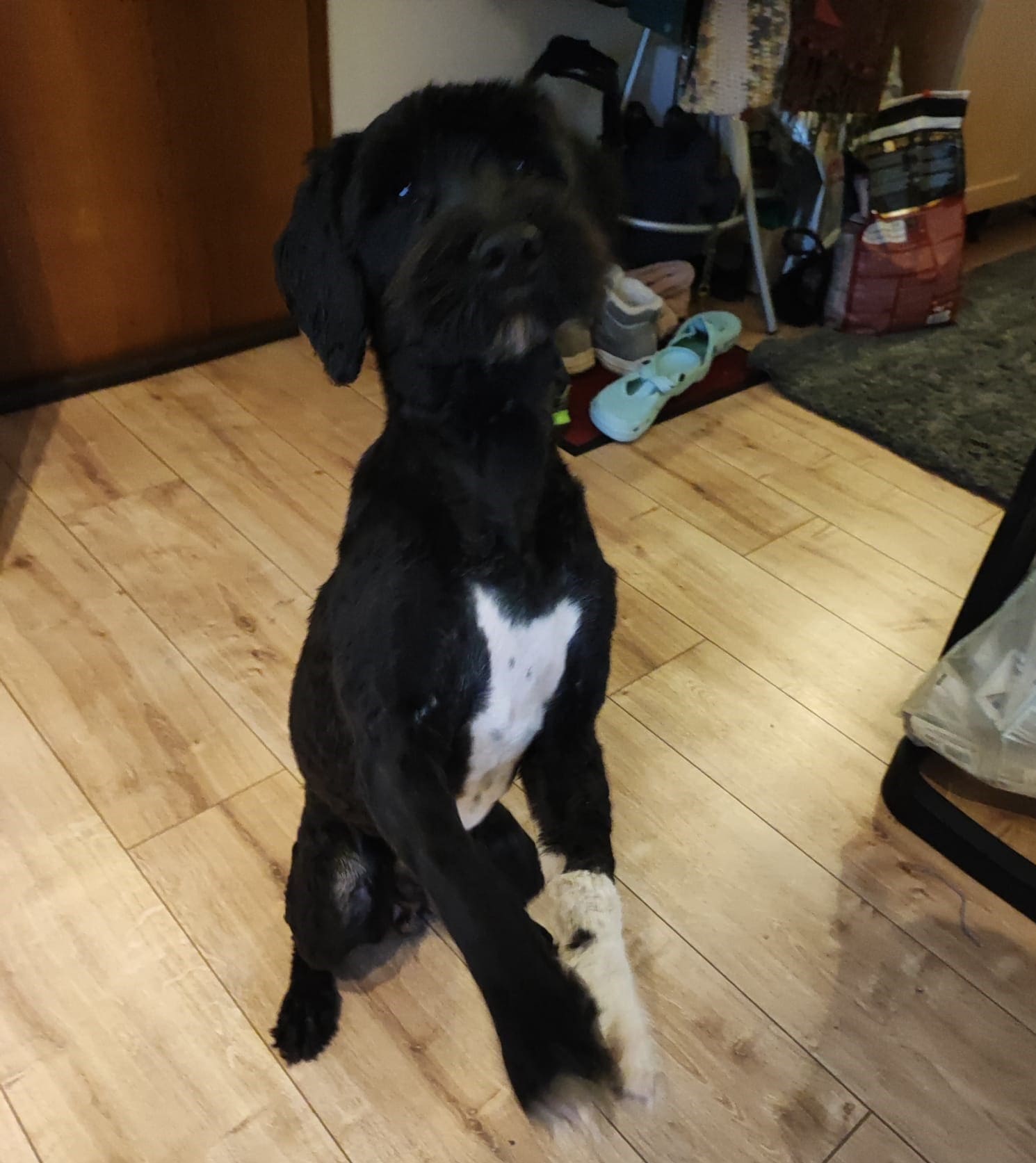 Jona liegt entspannt im Café.