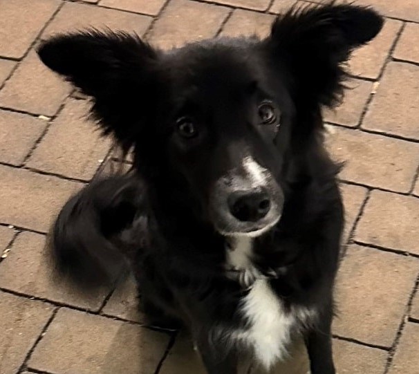 June schaut aufmerksam in die Kamera.