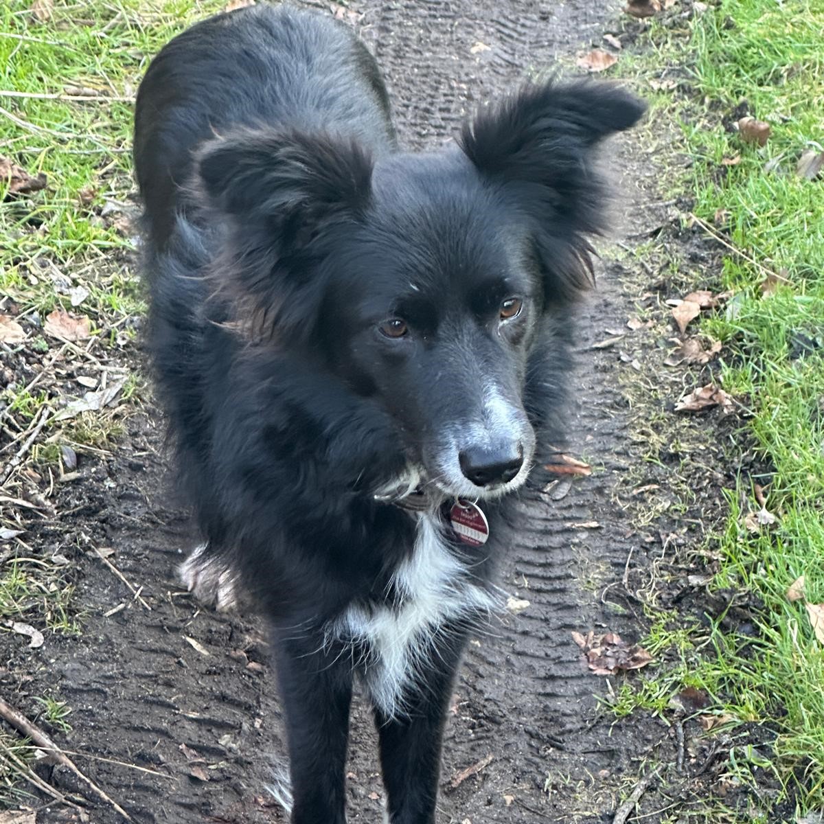 June steht im Feld und blickt in die Ferne.