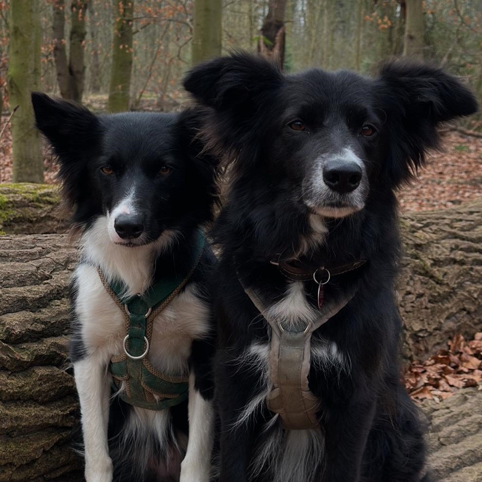June und Step gemeinsam vor einem Baum.