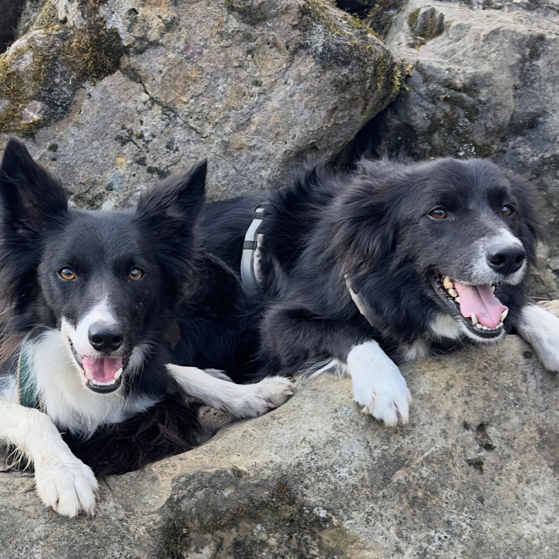 June und Step gemeinsam zwischen Felsen.