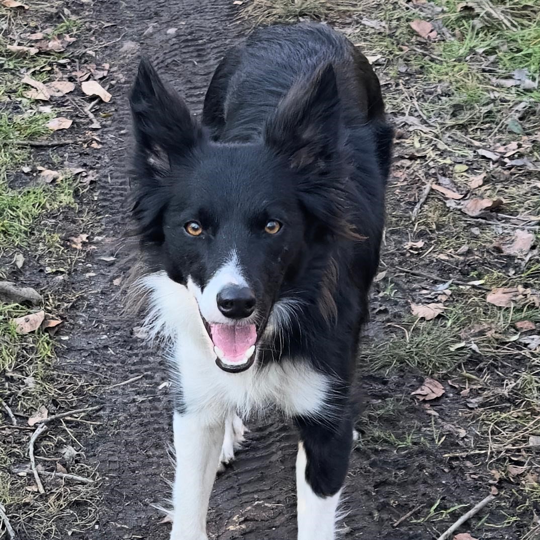 Step schaut freundlich und wach.