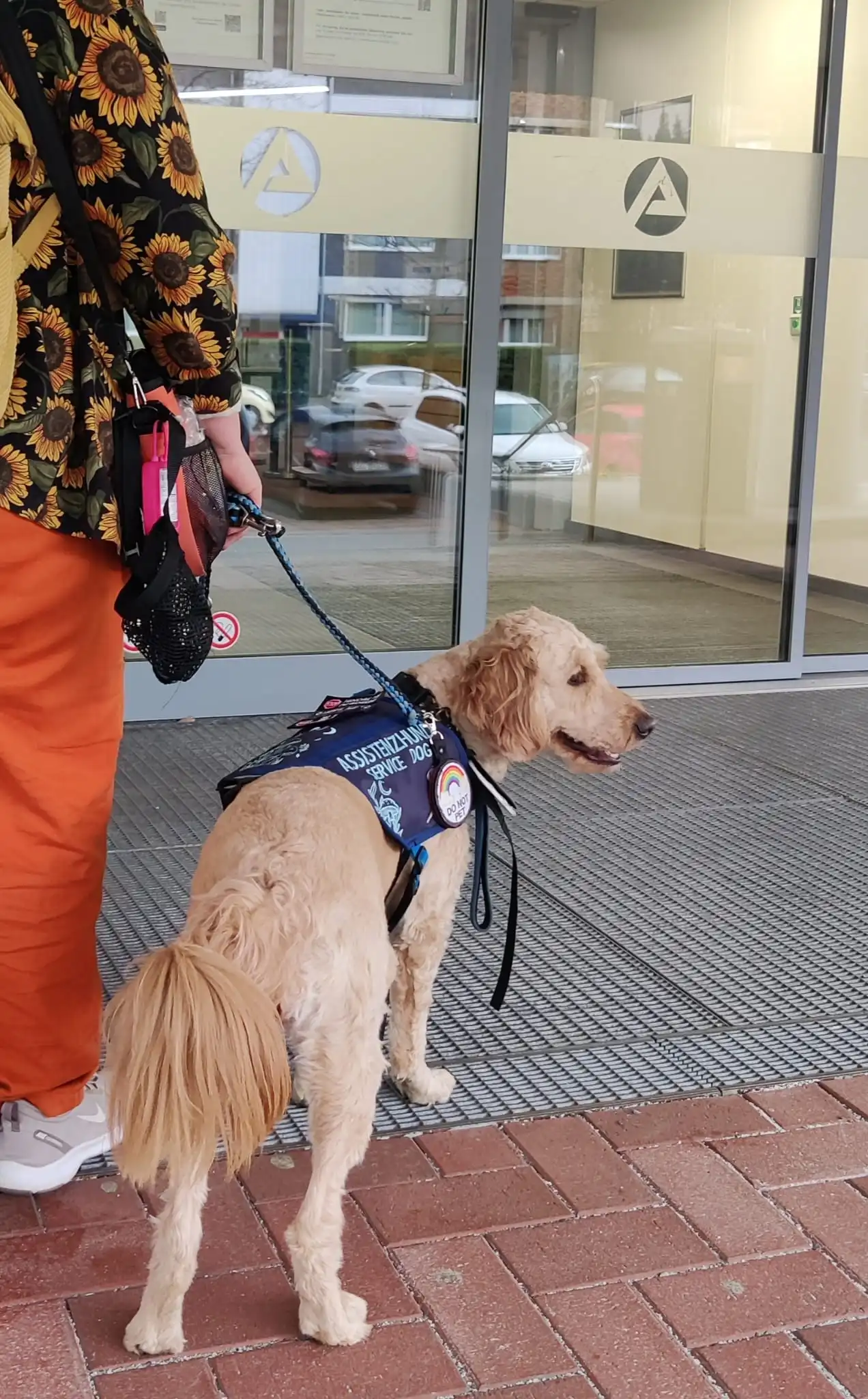 Assistenzhund Mina beim Besuch einer Behörde oder öffentlichen Einrichtung