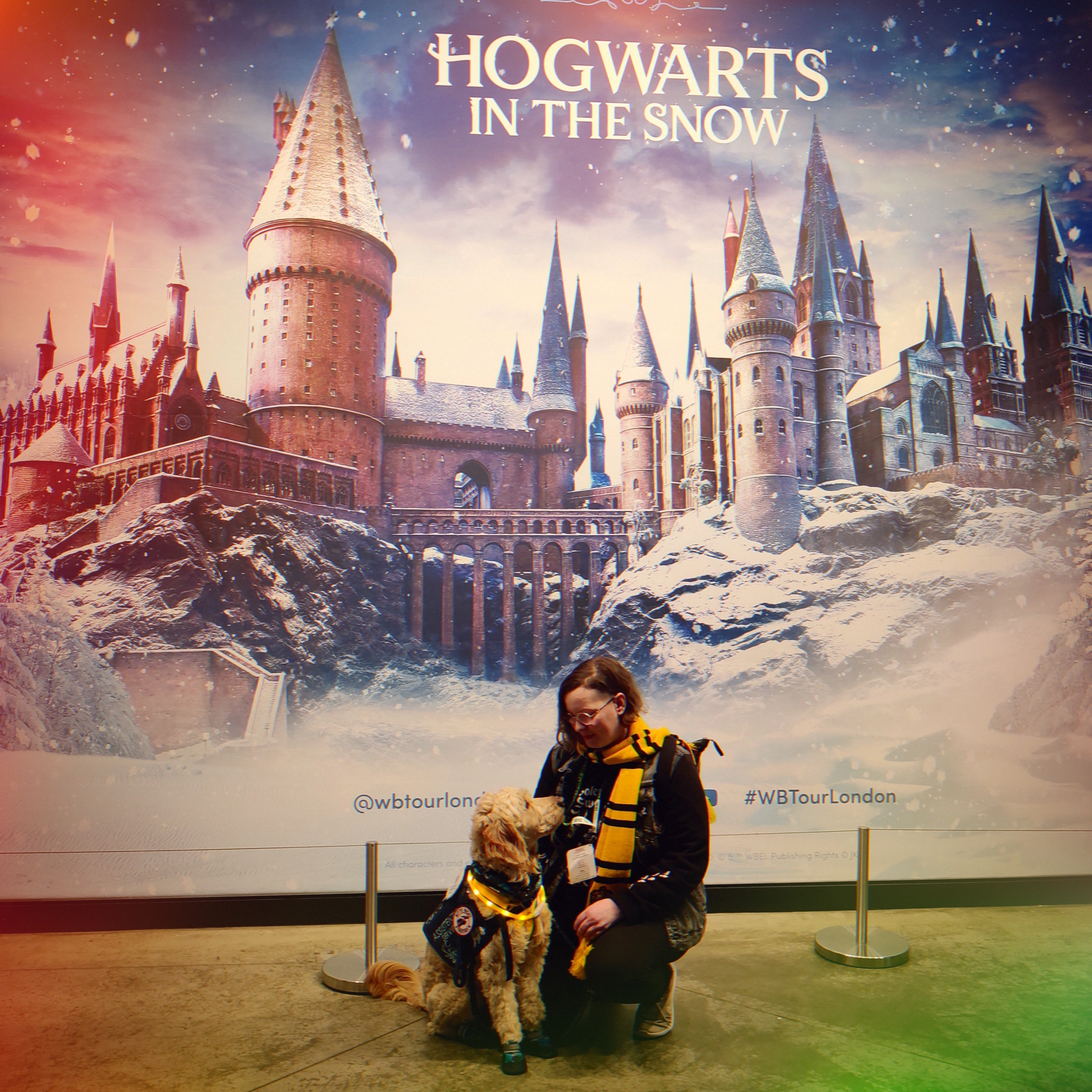 Assistenzhund Mina im Hogwarts-Kostüm bei einer Fantasie-Veranstaltung
