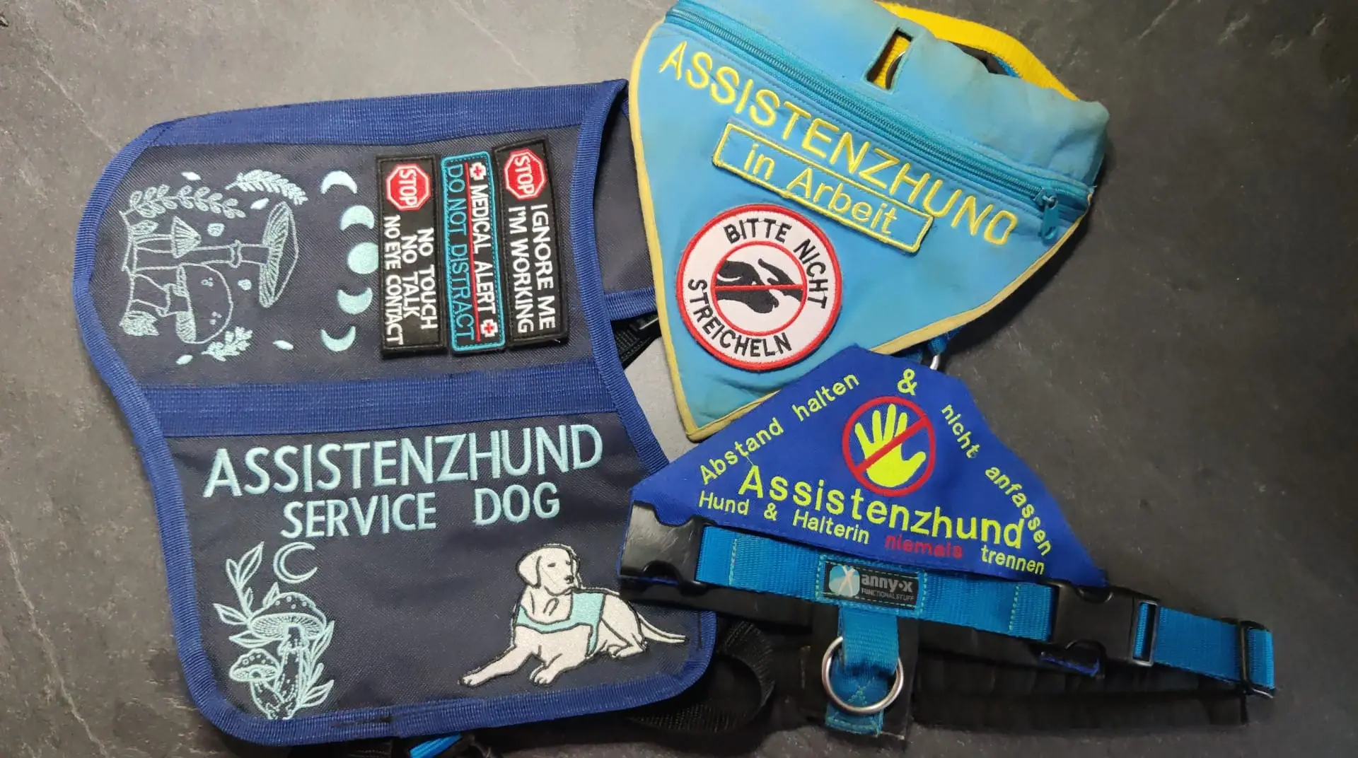 Beispiele für Kennzeichnung von Assistenzhunden: Kenndecke, Geschirr, Plakette