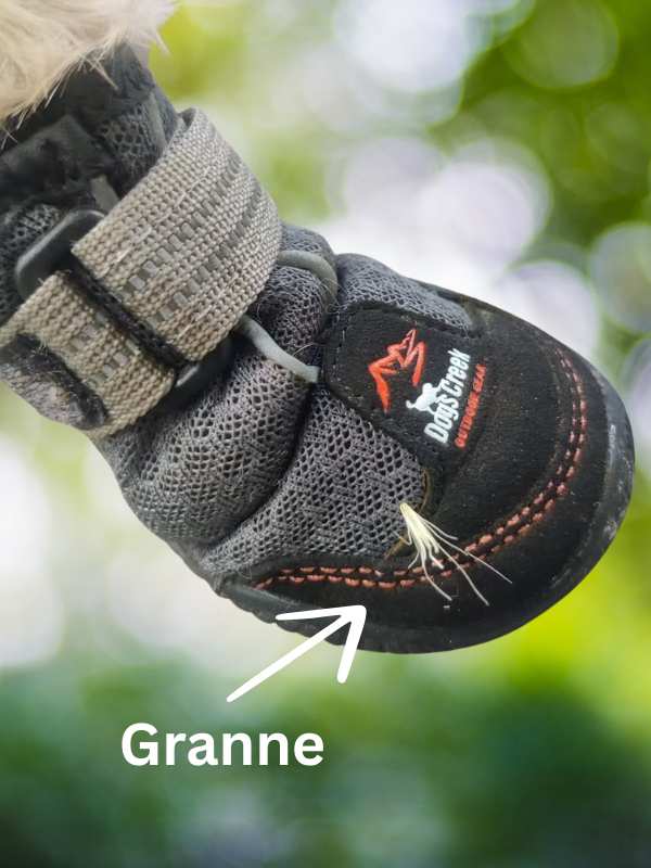 Pfotenschutz mit Granne im Hundeschuh
