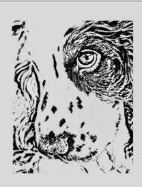 Logo Hundeschule Apel