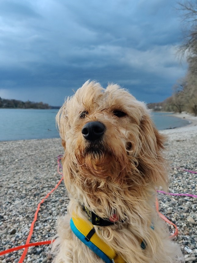 Mina am See